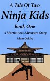 A Tale Of Two Ninja Kids - Book 1 - A Martial Arts Adventure Story - For Ages 7+ (eBook, ePUB)