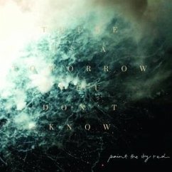 There Is A Tomorrow You Don'T Know - Paint The Sky Red