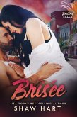 Brisée (Destiny Falls, #3) (eBook, ePUB)