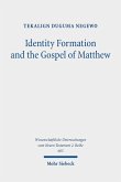 Identity Formation and the Gospel of Matthew (eBook, PDF)