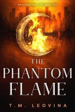 The Phantom Flame (eBook, ePUB) - Ledvina, T. M.