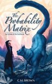 The Probability Matrix (eBook, ePUB)