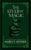 The Study of Magic (The Study Chronicles: Valek's Adventures, #2) (eBook, ePUB)
