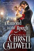 Diamond in the Rough (eBook, ePUB)