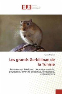 Les grands Gerbillinae de la Tunisie - Khemiri, Hanen