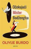 Očekujući Mister Bodženglsa (eBook, ePUB)