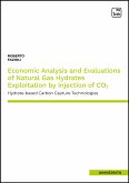 Economic Analysis and Evaluations of Natural Gas Hydrates Exploitation by Injection of CO2 (eBook, PDF)