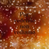 Pur vedendo non vediamo (eBook, ePUB)