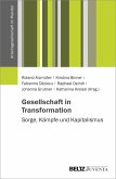 Gesellschaft in Transformation: Sorge, Kämpfe und Kapitalismus (eBook, PDF)