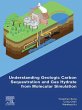 Understanding Geologic Carbon... - Bild 1