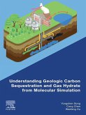 Understanding Geologic Carbon Sequestration and Gas Hydrate from Molecular Simulation (eBook, ePUB)