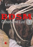 BDSM 1 (eBook, ePUB)