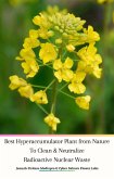 Best Hyperaccumulator Plant from Nature To Clean & Neutralize Radioactive NuclearWaste (eBook, ePUB)