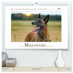 Mit dem Malinois durch das Jahr (hochwertiger Premium Wandkalender 2025 DIN A2 quer), Kunstdruck in Hochglanz - Calvendo;Wrede - Wredefotografie, Martina
