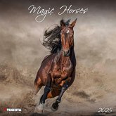 Magic Horses 2025