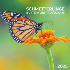 Cover Schmetterlinge 2025