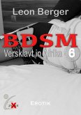 BDSM 6 (eBook, ePUB)