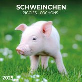 Piggies/Schweinchen 2025