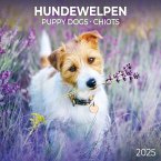 Puppy Dogs/Hundewelpen 2025