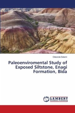 Paleoenviromental Study of Exposed Siltstone, Enagi Formation, Bida