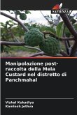 Manipolazione post-raccolta della Mela Custard nel distretto di Panchmahal