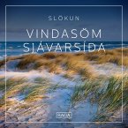 Slökun - Vindasöm sjávarsíða (MP3-Download)