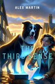 The Third Sense (eBook, ePUB)