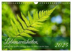 Lebensweisheiten, motivierende Sprüche und kluge Zitate mit Bildern der Natur (Wandkalender 2025 DIN A4 quer), CALVENDO Monatskalender