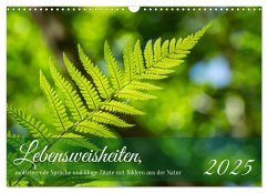 Lebensweisheiten, motivierende Sprüche und kluge Zitate mit Bildern der Natur (Wandkalender 2025 DIN A3 quer), CALVENDO Monatskalender - Calvendo;Rohde, Angela