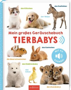 Cover Mein großes Geräuschebuch - Tierbabys