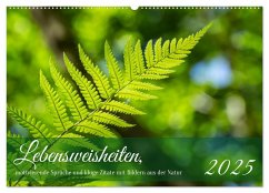Lebensweisheiten, motivierende Sprüche und kluge Zitate mit Bildern der Natur (Wandkalender 2025 DIN A2 quer), CALVENDO Monatskalender