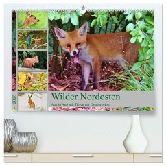 Wilder Nordosten - Aug in Aug mit Tieren der Ostseeregion (hochwertiger Premium Wandkalender 2025 DIN A2 quer), Kunstdruck in Hochglanz - Calvendo;Schaack, René