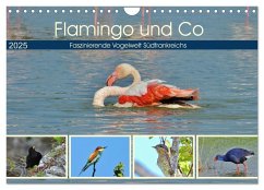 Flamingo und Co - Faszinierende Vogelwelt Südfrankreichs (Wandkalender 2025 DIN A4 quer), CALVENDO Monatskalender