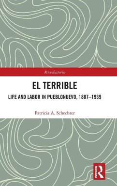 El Terrible: Life and Labor in Pueblonuevo, 1887-1939 - Schechter, Patricia A.