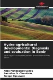 Hydro-agricultural developments: Diagnosis and evaluation in Benin