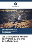 Die Dattelpalme Phoenix dactylifera L. und ihre Gefäßfusariose