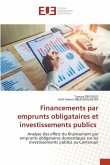 Financements par emprunts obligataires et investissements publics