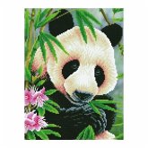 Diamond Dotz 2524485 - Diamond Painting Panda Prinz