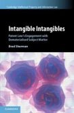 Intangible Intangibles