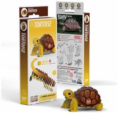 Cover EUGY 650104 - 3D Bastelset Landschildkröte