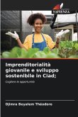 Imprenditorialità giovanile e sviluppo sostenibile in Ciad;