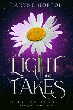 The Light That Takes (eBook, ePUB) - Norton, Karyne