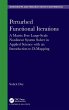 Perturbed Functional Iterations - Bild 1