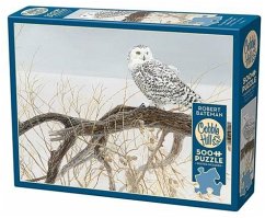 Cover Cobble Hill Schneeeule auf dem Ast 500 Teile