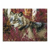 Diamond Dotz 2591807 - Diamond Painting Wolf