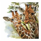 Diamond Dotz 2591536 - Diamond Painting Giraffen