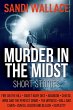 Murder In The Midst (eBook, ePUB) - Bild 1