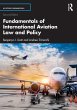 Fundamentals of International Aviation... - Bild 1