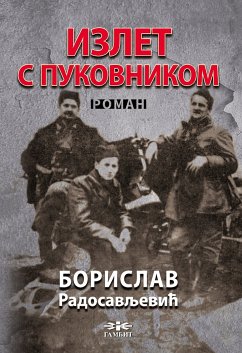 Излет с пуковником (eBook, ePUB) - Радосављевић, Борислав