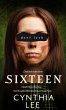 Sixteen (eBook, ePUB) - Bild 1